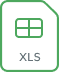 XLS File